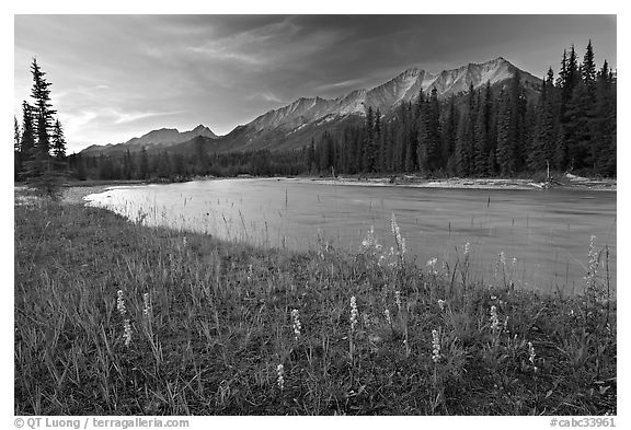 Mitchell range, Kootenay River, and flowers, sunset. Kootenay National Park, Canadian Rockies, British Columbia, Canada