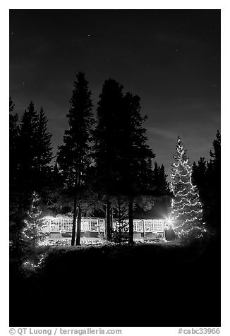 Cabin and illuminated Christmas trees at night. Kootenay National Park, Canadian Rockies, British Columbia, Canada (black and white)