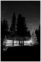 Cabin and illuminated Christmas trees at night. Kootenay National Park, Canadian Rockies, British Columbia, Canada (black and white)