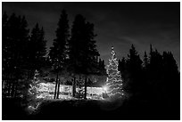 Lit Christmas trees, cabin, and forest at night. Kootenay National Park, Canadian Rockies, British Columbia, Canada ( black and white)