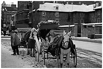 Horse carriage in winter, Montreal. Quebec, Canada ( black and white)