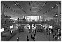 Terminal 3, Beijing Capital International Airport. Beijing, China (black and white)