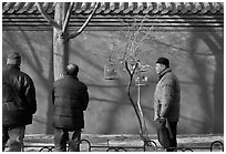 Bird market along red wall. Beijing, China ( black and white)