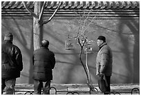 Bird market along red wall. Beijing, China (black and white)