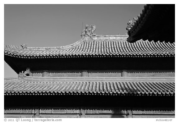 Roof detail, Forbidden City. Beijing, China (black and white)