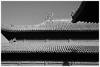 Roof detail, Forbidden City. Beijing, China (black and white)
