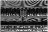 Roof detail and sign on Hall of Supreme Harmony, Forbidden City. Beijing, China (black and white)