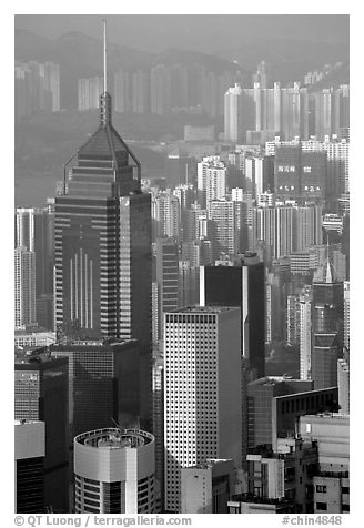Tower buildings seen from Victoria Peak, late afternoon, Hong-Kong Island. Hong-Kong, China (black and white)