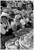 Bai women sell vegetables at the Monday market. Shaping, Yunnan, China (black and white)