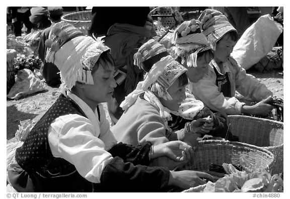 Bai women in tribal dress selling vegetables at the Monday market. Shaping, Yunnan, China (black and white)