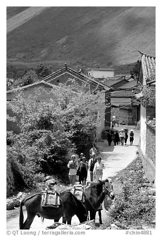 Village street leading to the market. Shaping, Yunnan, China (black and white)