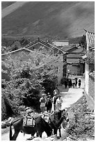 Village street leading to the market. Shaping, Yunnan, China (black and white)