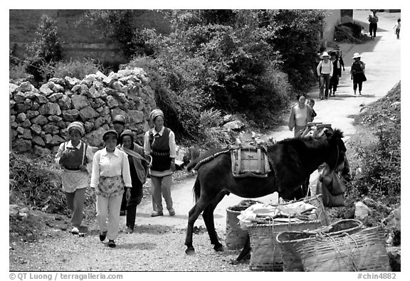 Village street leading to the market. Shaping, Yunnan, China (black and white)