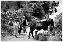 Village street leading to the market. Shaping, Yunnan, China (black and white)