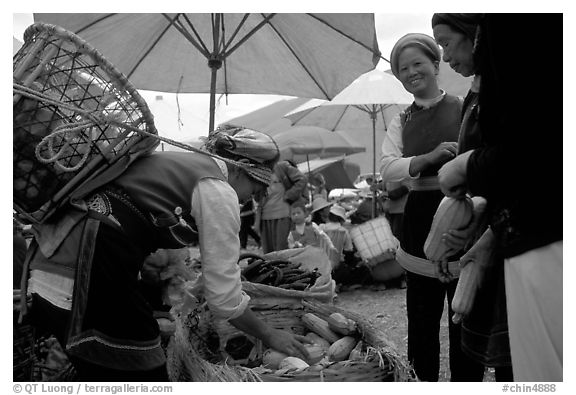 Bai tribeswomen buy vegetables at Monday market. Shaping, Yunnan, China (black and white)