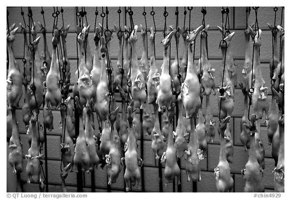 Roasted ducks for sale. Kunming, Yunnan, China (black and white)