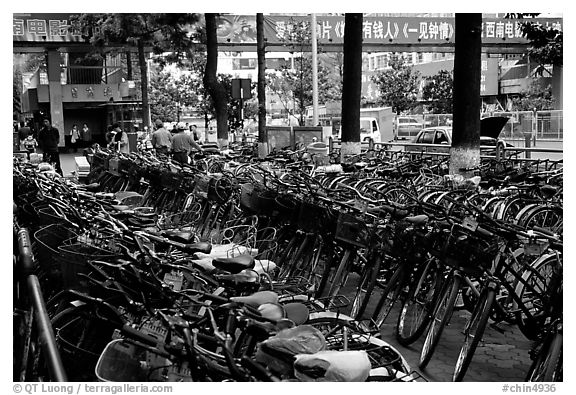 Bicycle parking lot. Kunming, Yunnan, China (black and white)