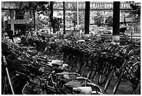 Bicycle parking lot. Kunming, Yunnan, China ( black and white)