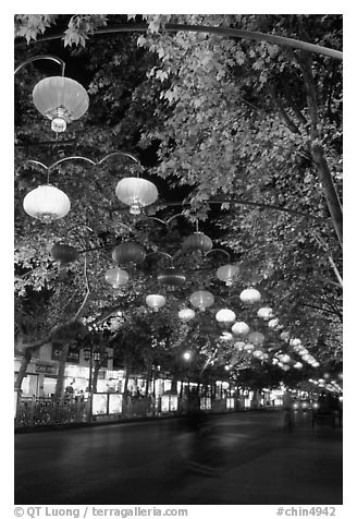 Zhengyi Lu illuminated by lanterns at night. Kunming, Yunnan, China (black and white)
