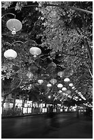 Zhengyi Lu illuminated by lanterns at night. Kunming, Yunnan, China (black and white)