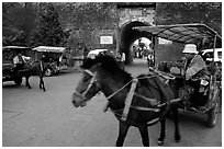 Horse carriage near the North Gate. Dali, Yunnan, China (black and white)