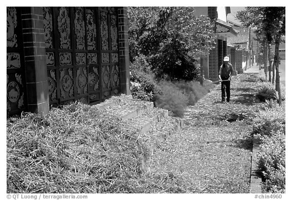 Grain being dried on the street. Dali, Yunnan, China (black and white)