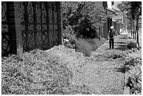 Grain being dried on the street. Dali, Yunnan, China (black and white)