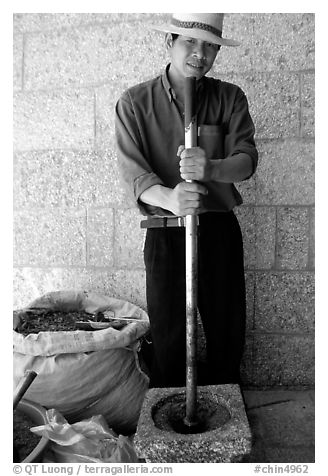 Spice vendor crushing red pepper. Dali, Yunnan, China (black and white)