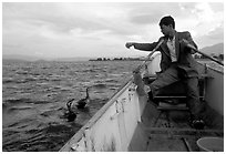 Cormorant fisherman sends out his birds. Dali, Yunnan, China (black and white)