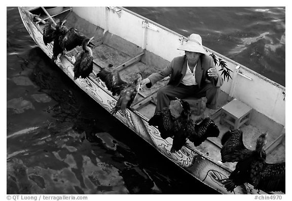 Fisherman talks to his cormorants at the end of fishing session. Dali, Yunnan, China (black and white)