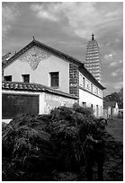 Rural activity in a street close to the Three Pagodas. Dali, Yunnan, China ( black and white)