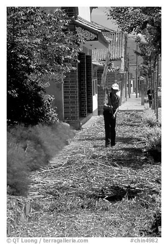 Grain being dried on the street. Dali, Yunnan, China (black and white)