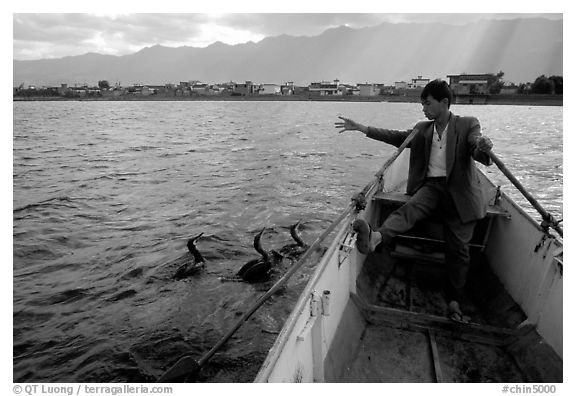 Cormorant Fisherman gives orders to his  fishing birds. Dali, Yunnan, China (black and white)