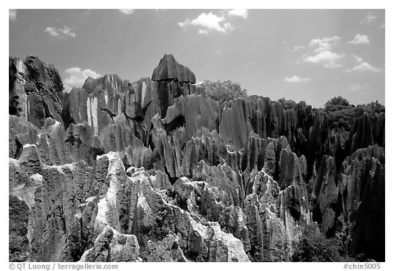 Details of the grey limestone pinnacles of the Stone Forst. Shilin, Yunnan, China (black and white)