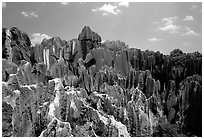 Details of the grey limestone pinnacles of the Stone Forst. Shilin, Yunnan, China ( black and white)