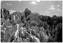 Details of the grey limestone pinnacles of the Stone Forst. Shilin, Yunnan, China (black and white)