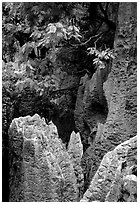 Details of grey limestone pinnacles of the Stone Forst. Shilin, Yunnan, China (black and white)