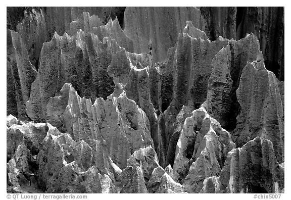 Details of grey limestone pinnacles of the Stone Forst. Shilin, Yunnan, China (black and white)