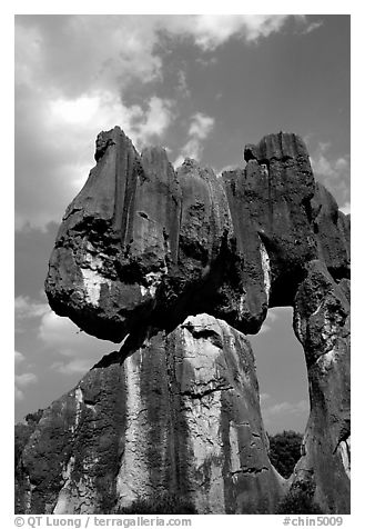 Opening in a limestone formation of the Stone Forest. Shilin, Yunnan, China