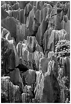 Grey limestone pillars of the Stone Forest. Shilin, Yunnan, China (black and white)