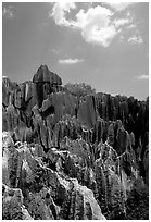 Maze of grey limestone pinnacles and peaks of the Stone Forst. Shilin, Yunnan, China (black and white)