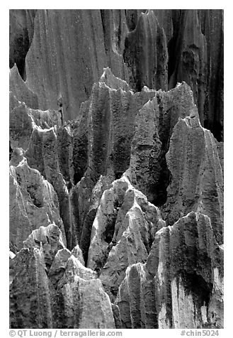 Details of grey limestone pinnacles of the Stone Forst. Shilin, Yunnan, China (black and white)