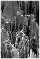 Details of grey limestone pinnacles of the Stone Forst. Shilin, Yunnan, China ( black and white)