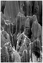 Details of grey limestone pinnacles of the Stone Forst. Shilin, Yunnan, China (black and white)