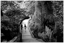 Entrance walkway to the Grand Buddha complex. Leshan, Sichuan, China ( black and white)