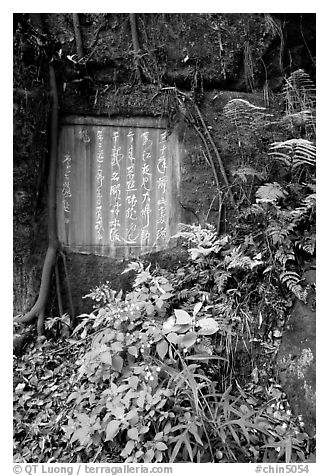 Chinese inscription in stone in the gardens of Dafo Si. Leshan, Sichuan, China