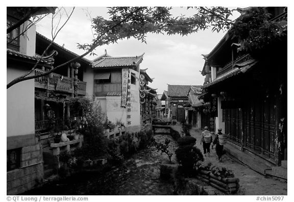 Early morning along a canal. Lijiang, Yunnan, China (black and white)