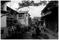 Early morning along a canal. Lijiang, Yunnan, China ( black and white)