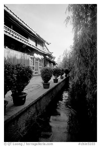 Wooden houses and vegetation near a canal. Lijiang, Yunnan, China (black and white)