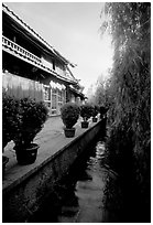 Wooden houses and vegetation near a canal. Lijiang, Yunnan, China (black and white)